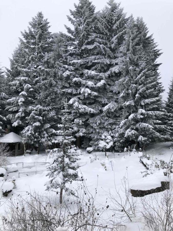 Апартаменти Олівія Skhidnytsia Exteriör bild