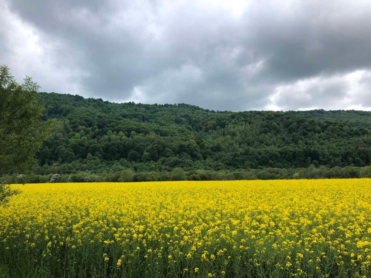 Апартаменти Олівія Skhidnytsia Exteriör bild